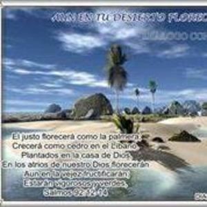 Meet your Posher, Moises